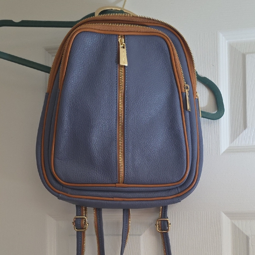 Valentina Blue and Tan Backpack